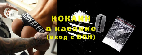 стаф Липки