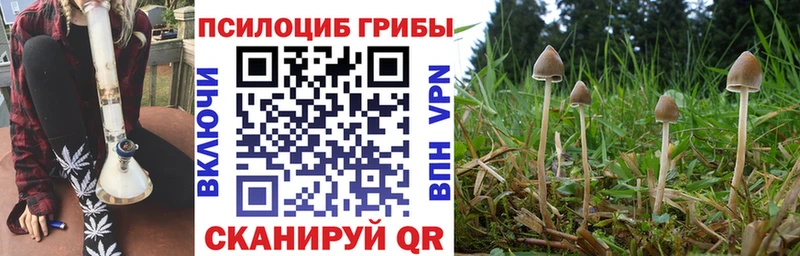 купить закладку  Вуктыл  Галлюциногенные грибы Psilocybe 
